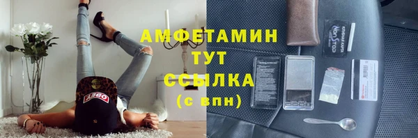 ECSTASY Богданович