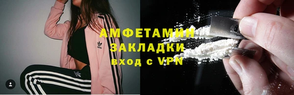 ECSTASY Богданович
