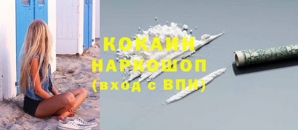 сатива Каменка