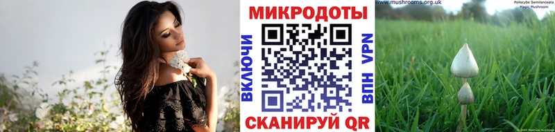 Галлюциногенные грибы Magic Shrooms  kraken вход  Свободный 
